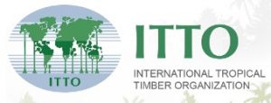 Itto